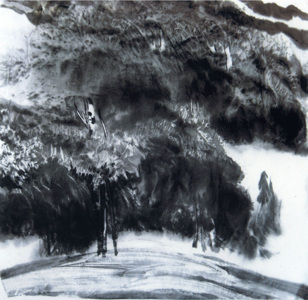 ɽ������